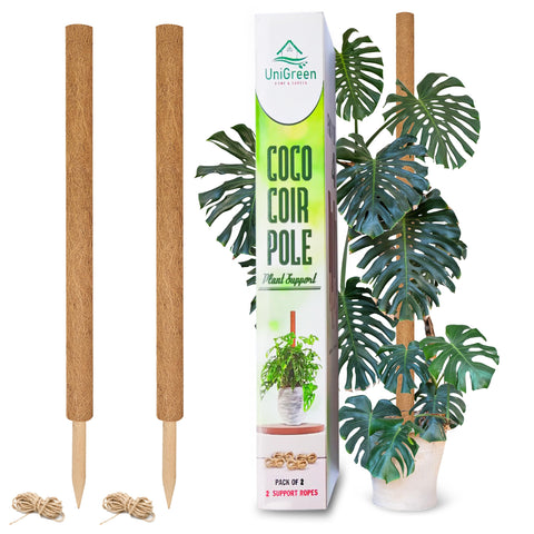 UniGreen 87-inch moss pole provides sturdy vertical support for large indoor plants.