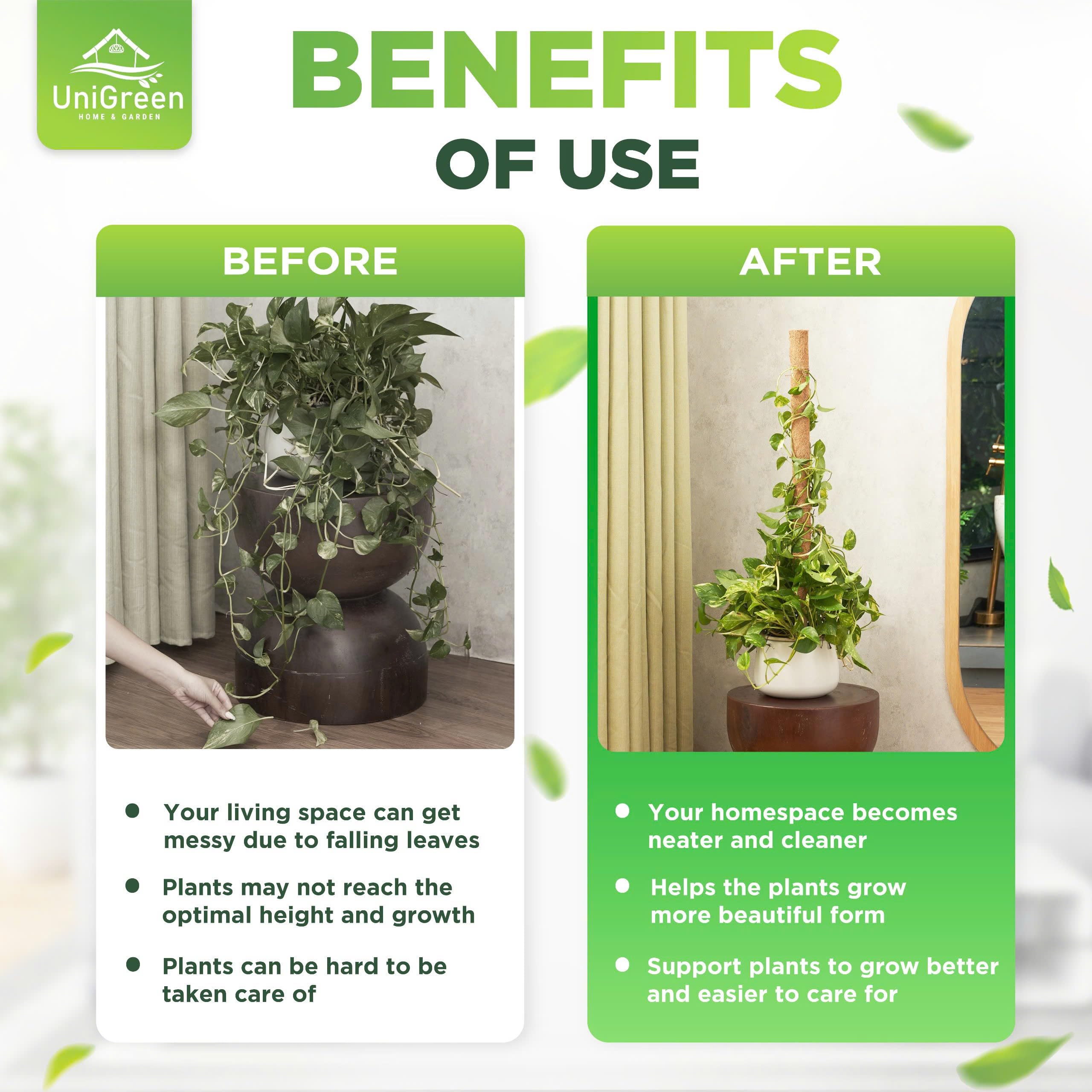 UniGreen large indoor plant pole blends with decor while supporting growth.