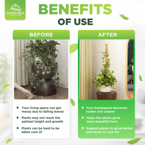 UniGreen large indoor plant pole blends with decor while supporting growth.