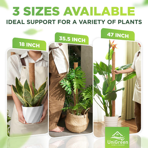 UniGreen moss stick plant support uses natural coconut fibers to guide growth.