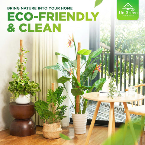 UniGreen pothos philodendron support helps tidy growth and training of vines.