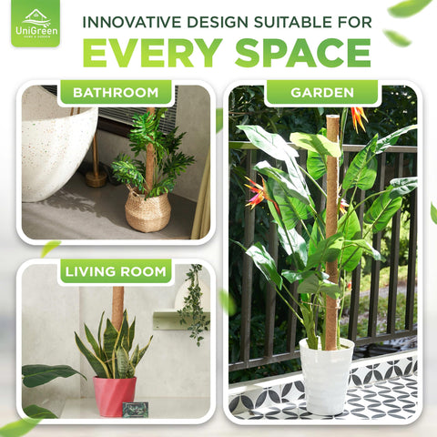 UniGreen sustainable coir pole uses natural materials for eco-friendly indoor gardening.