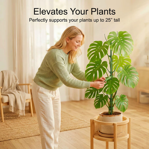 Unijoy Monstera stake extended to 25 inches supports tall vines.