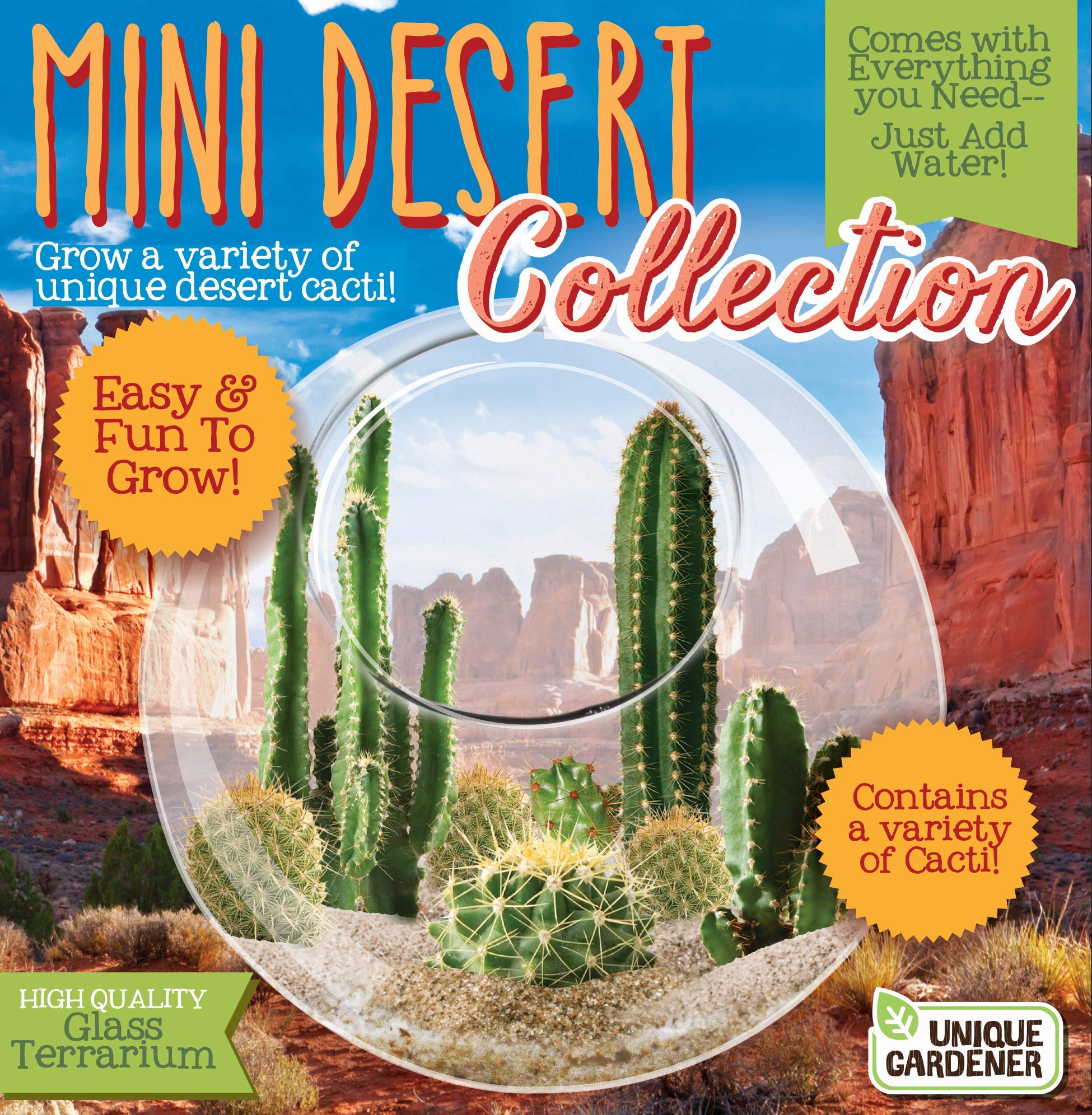 Unique Gardener germination mixture nurtures sprouts for a thriving desert mini garden.