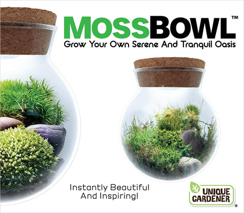 Unique Gardener LED Light Terrarium with soft illumination for moss growth.