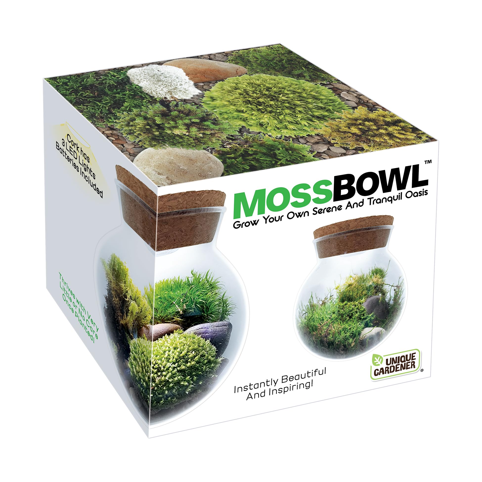 Unique Gardener Moss Bowl Terrarium setup, a calm desk display for stress relief and decoration.