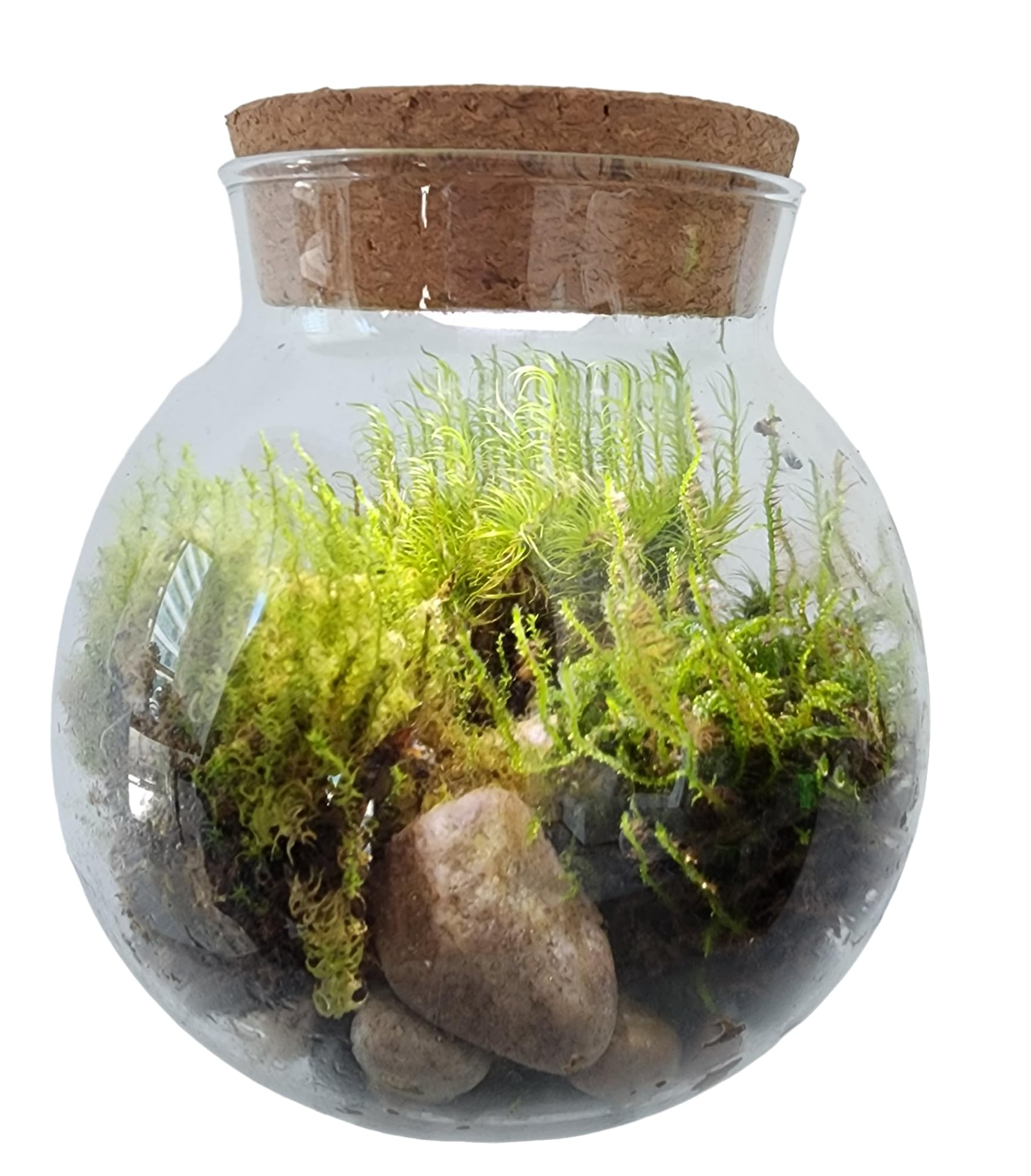 Unique Gardener River Gravel and Accent Stones detail for micro-ecosystem design.
