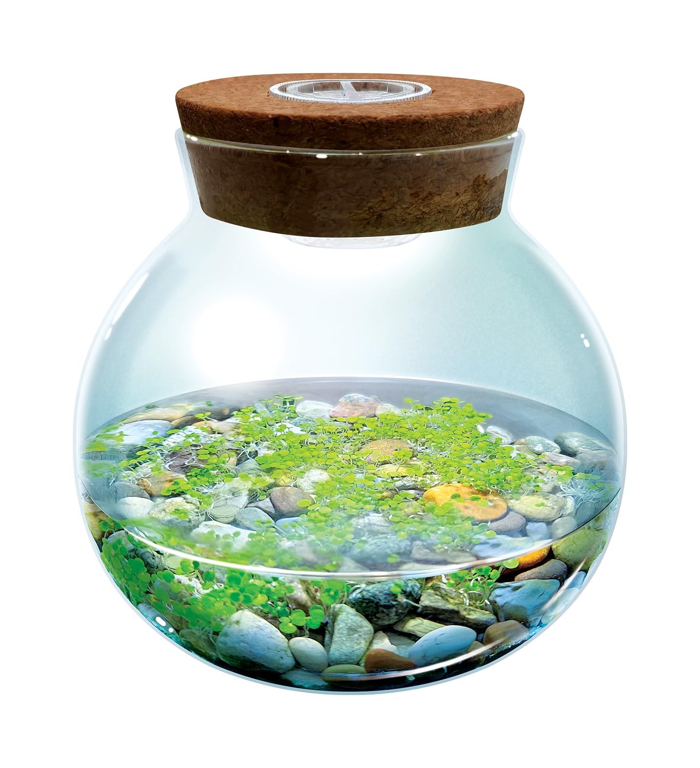 Unique Gardener WaterPlants led light module brightens nighttime viewing.