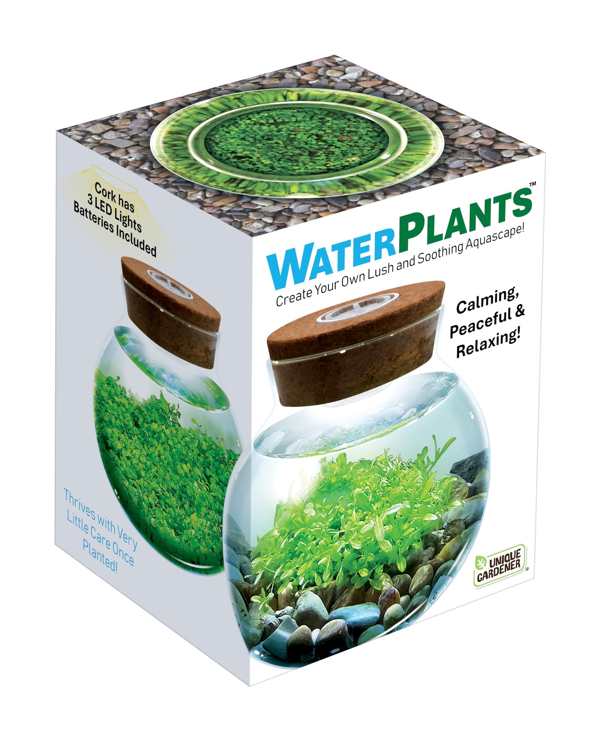 Unique Gardener WaterPlants seed color pack introduces color variety in growth.