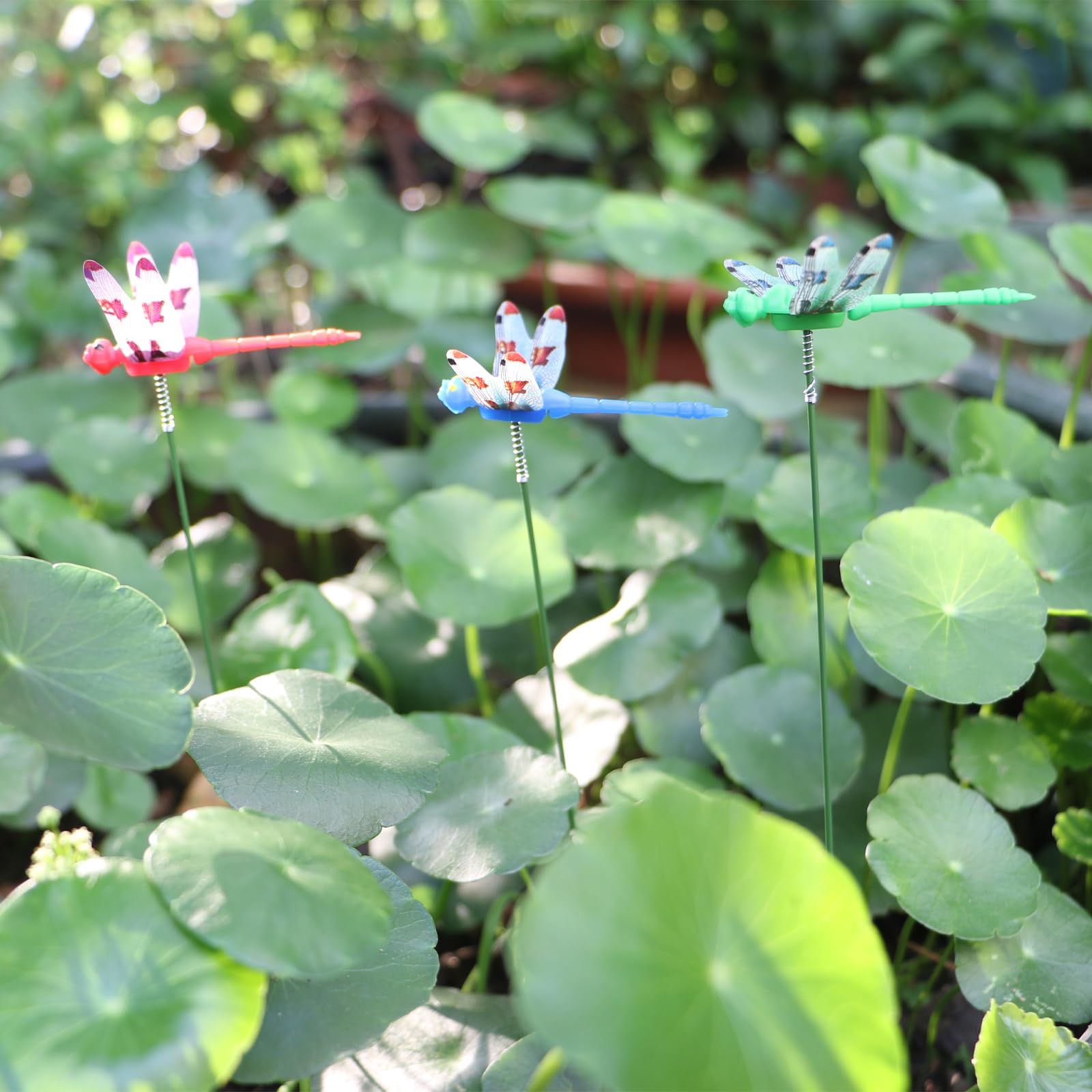 UnisonPet dragonfly garden stake in green blends with foliage and pathways.