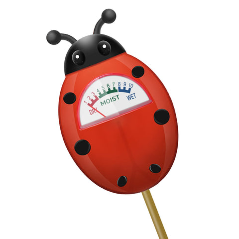 UNIWA soil moisture meter with clear dashboard for accurate watering decisions.