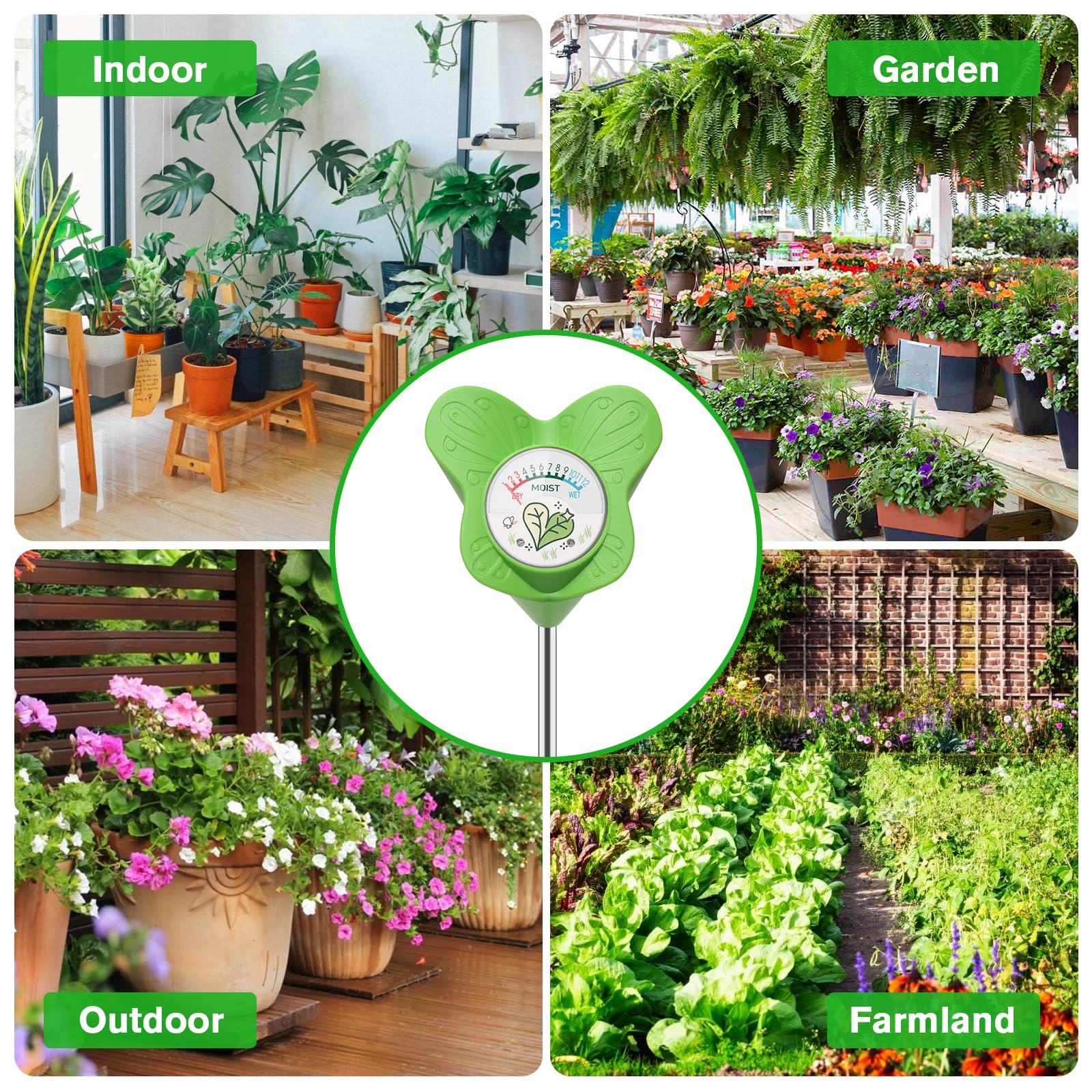 UNIWA gift-ready packaging for plant lovers and enthusiasts.