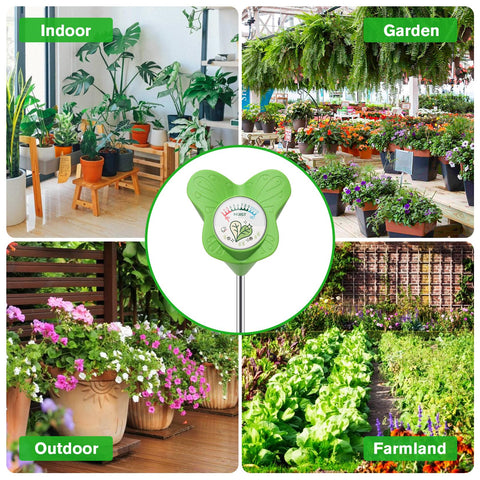 UNIWA gift-ready packaging for plant lovers and enthusiasts.