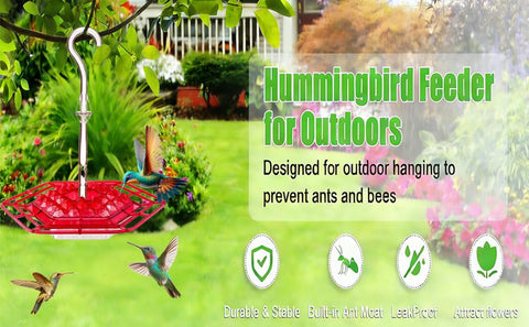 UNJUICE 30 feeding ports provide abundant nectar access for birds.
