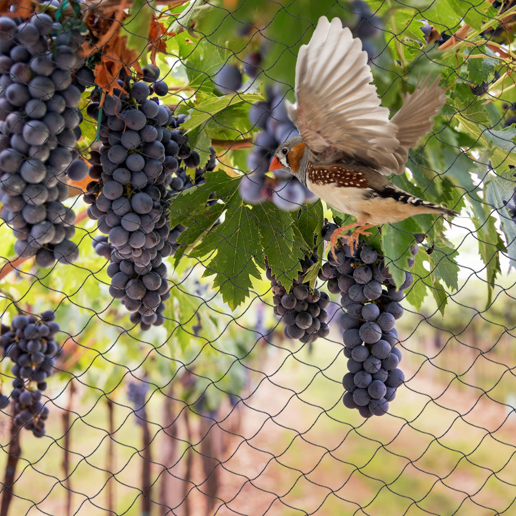 Unves 2.4-inch mesh netting protects fruit trees and vegetables