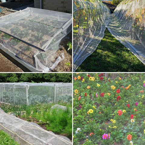 Unves bird-insect protection netting guarding seedlings and fruit trees.