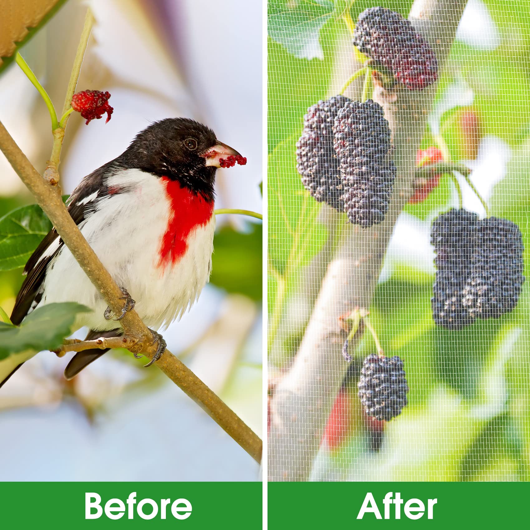 Unves bird netting barrier screen guards crops against birds during growth