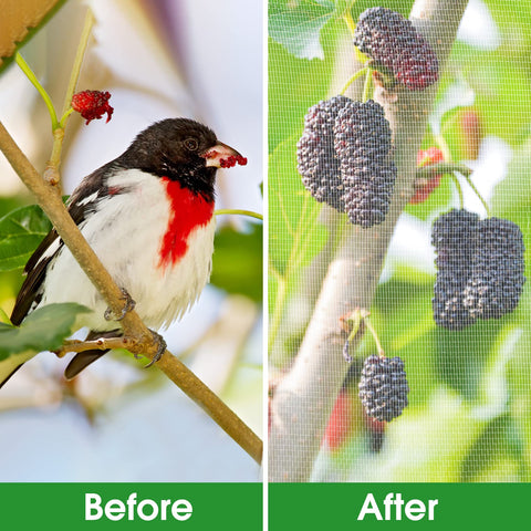 Unves bird netting barrier screen guards crops against birds during growth