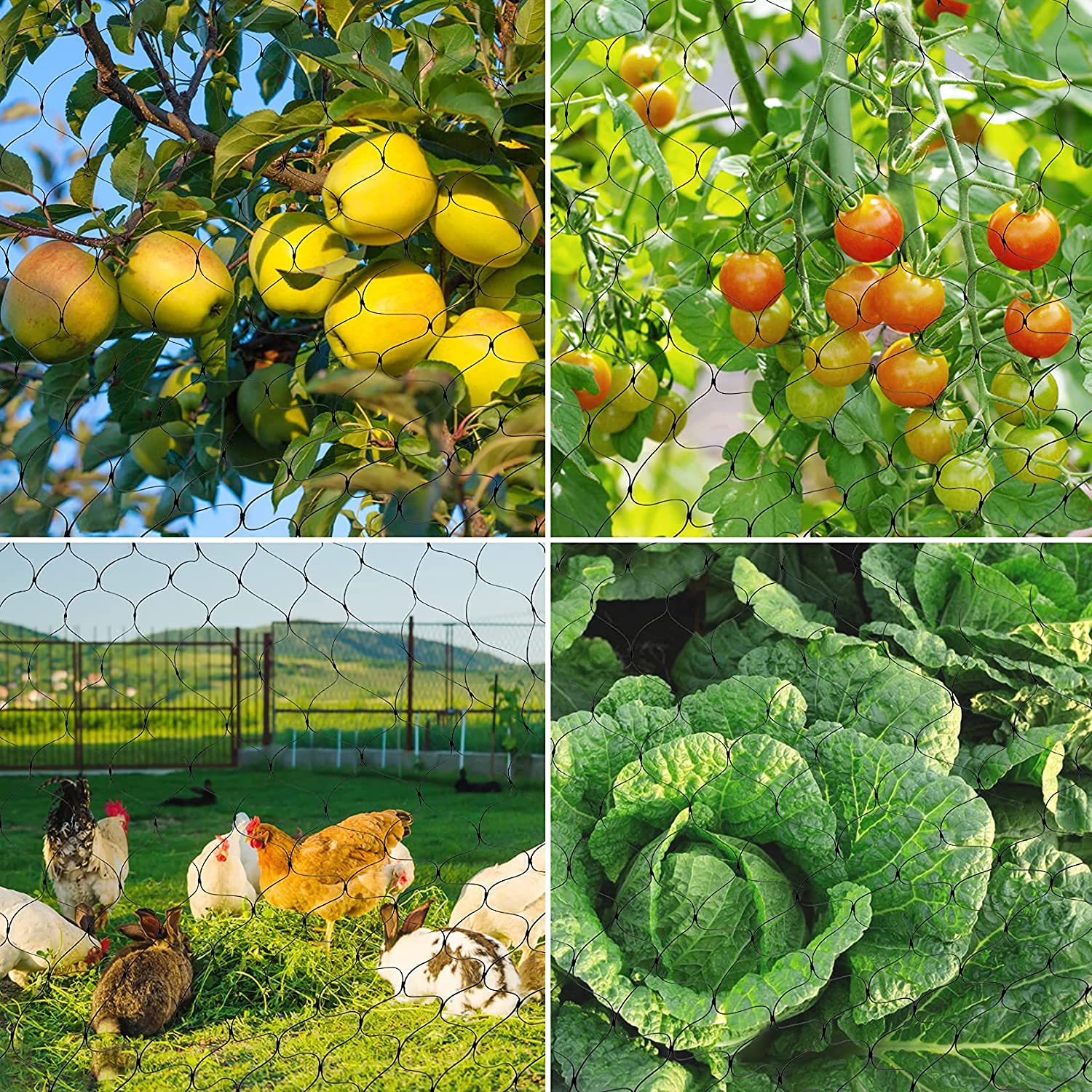 Protects blueberries, figs, and other fruit crops
