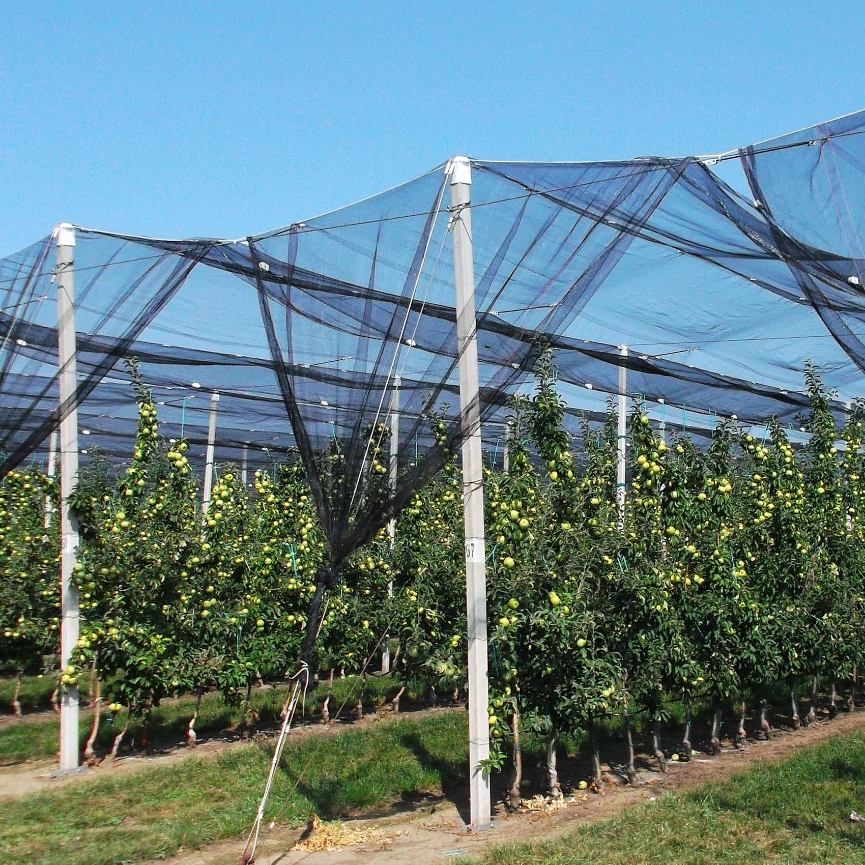 Unves breathable mesh netting lets watering pass through easily.