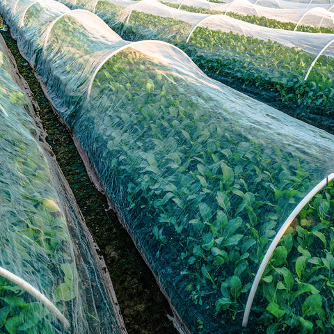 Unves clear net lets light, air, and water reach plants while monitoring growth