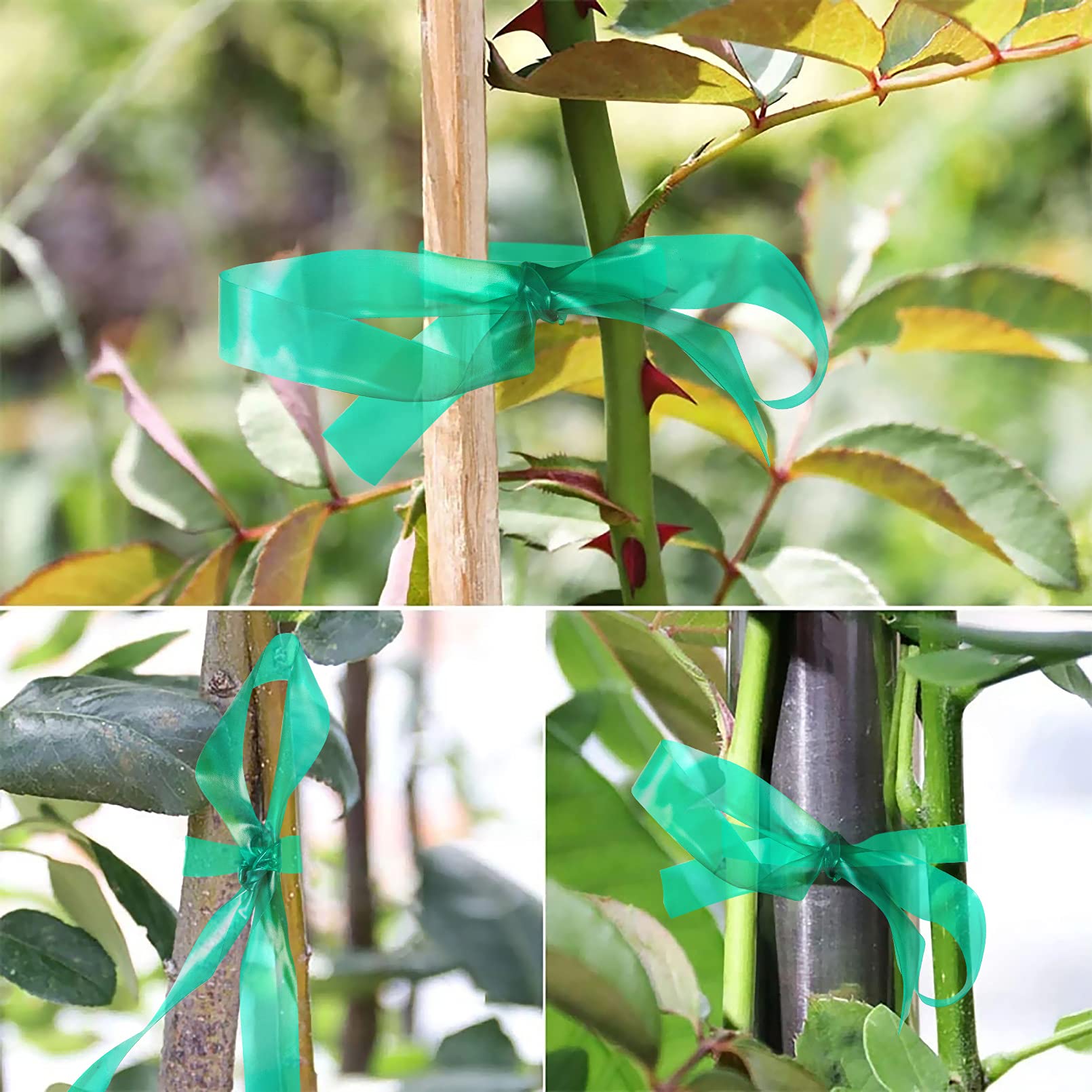 Unves tape assists climbing plants and flowers with discreet, durable ties