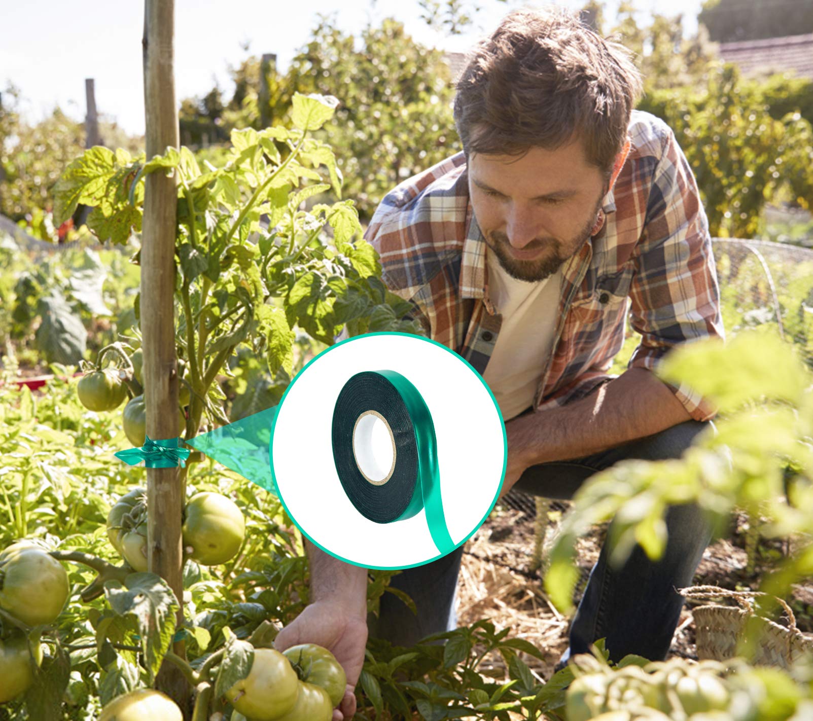 Unves easy-application tape helps you train plants without constraining growth.