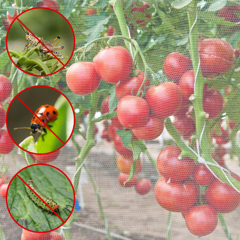 Close-up of Unves 40-mesh weave showing breathable protection for plants