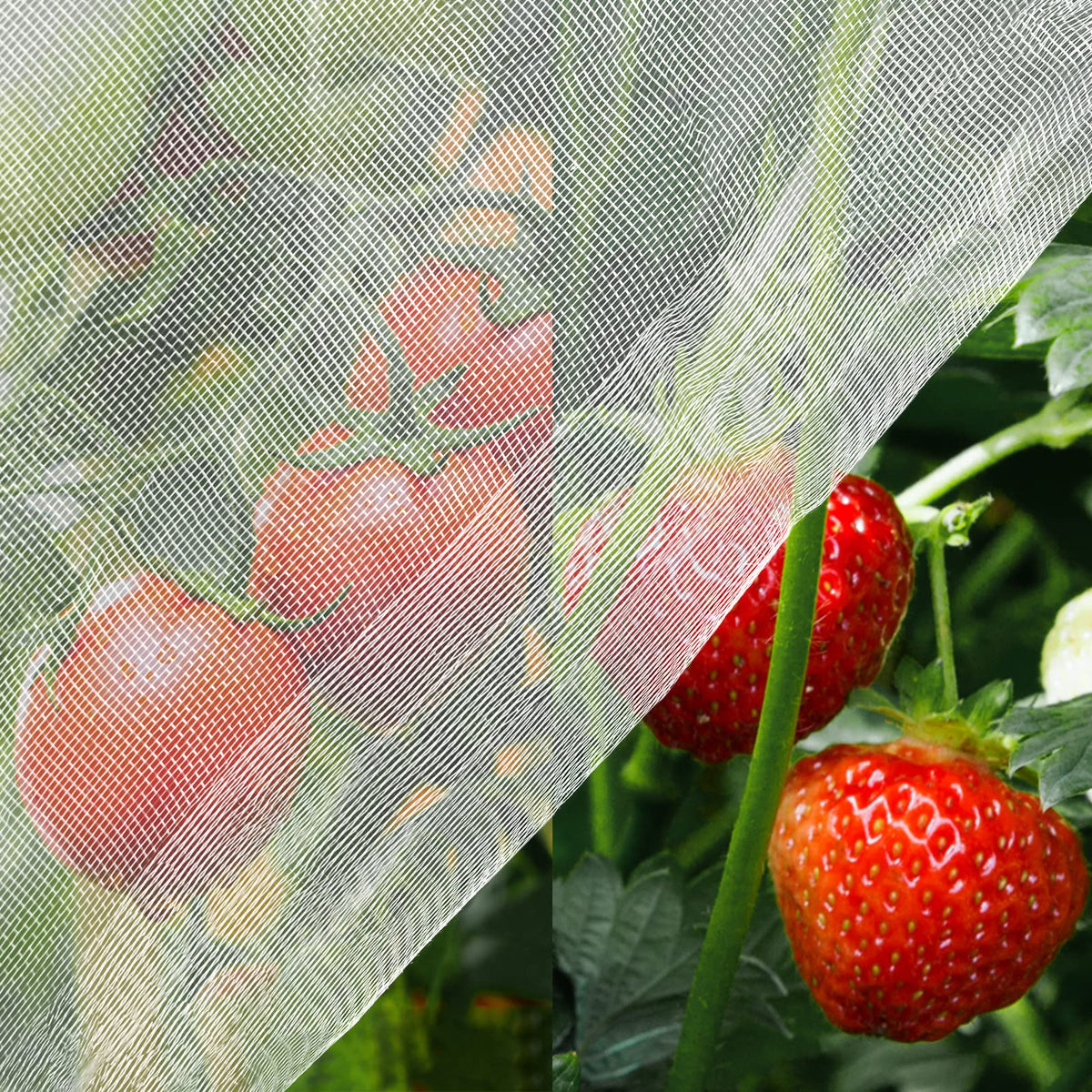 Unves garden netting mosquito-bird netting protects vegetables while staying transparent for inspection