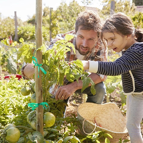 Unves garden tape weather-resistant vinyl withstands sun and rain