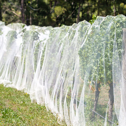 Unves raised beds netting creates a durable barrier for vegetables.