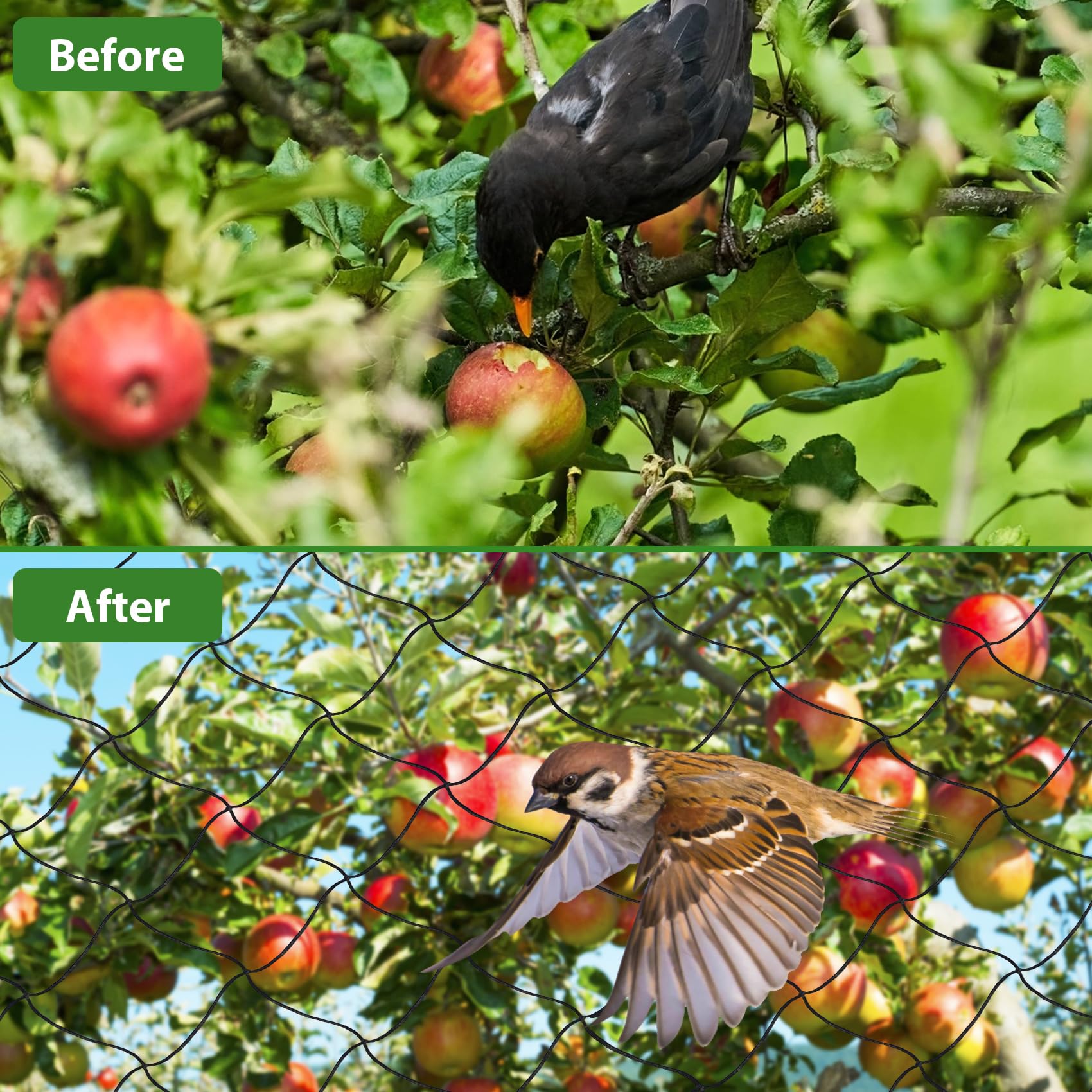 Unves versatile netting for garden, orchard, and poultry protection