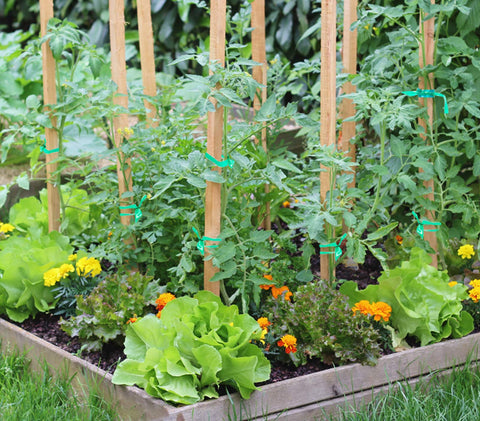 Unves weather-resistant garden tape resists wind and frost for seasons of use.