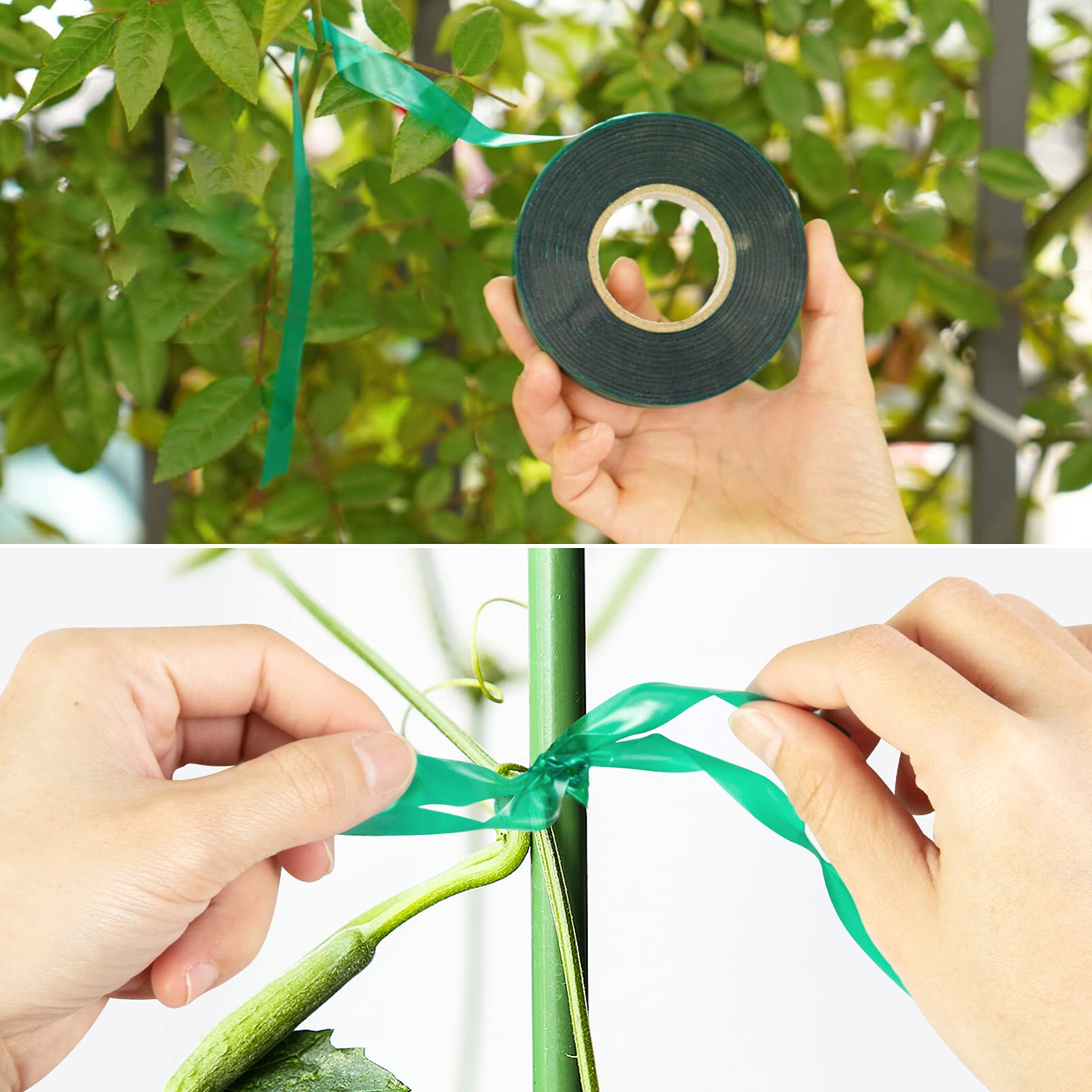 Unves plant support for young trees helps steady growth outdoors