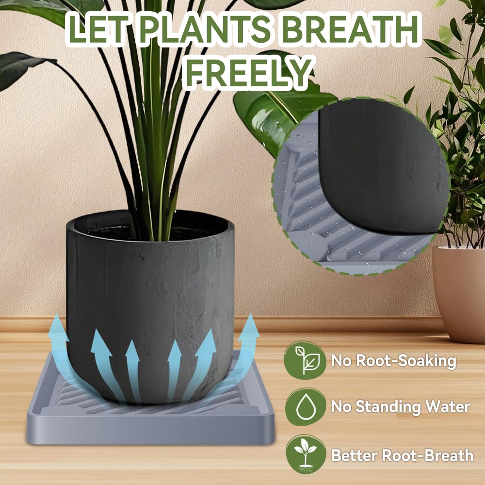 UoeRing breathable grid base improves air circulation around roots