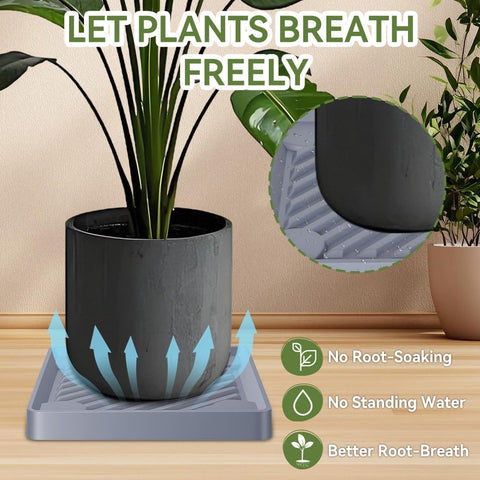 UoeRing breathable grid base improves air circulation around roots