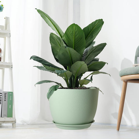 Gift-ready UOUZ planter for plant lovers and home decorators.