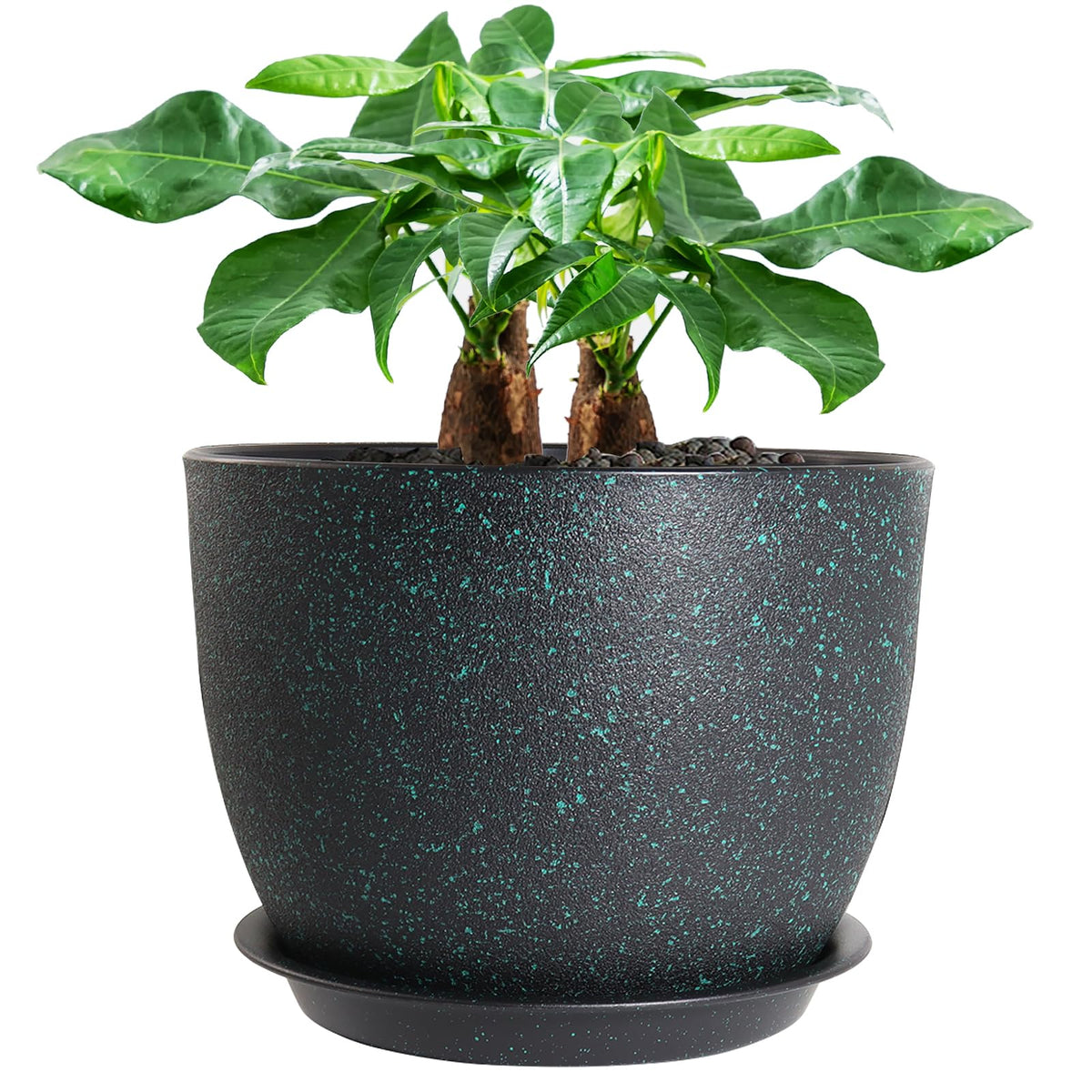 UOUZ 12-inch pot with matte-finish for stylish indoor plant displays.