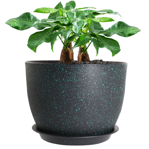 UOUZ 12-inch pot with matte-finish for stylish indoor plant displays.