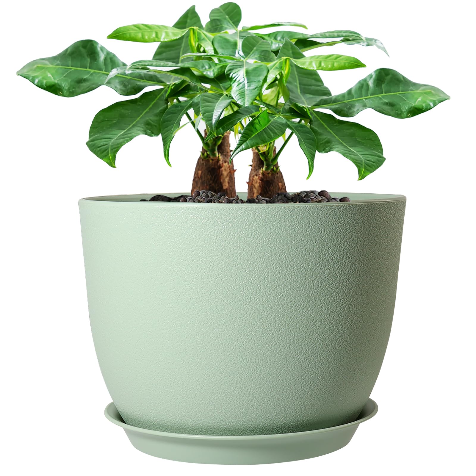 UOUZ 12-inch pot with matte green finish suits modern interiors.