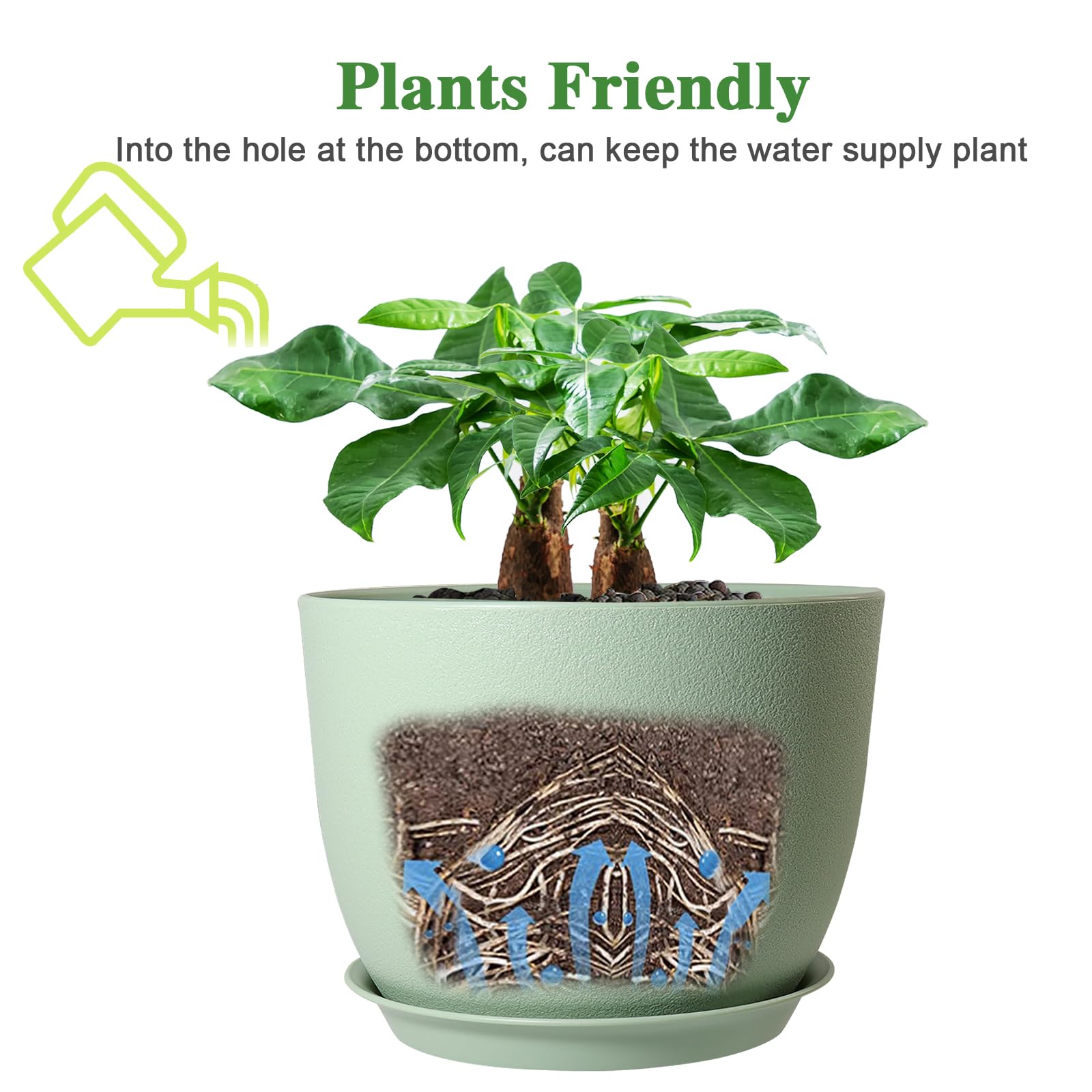 UOUZ 12-inch pot ideal for repotting large plants like Monstera.