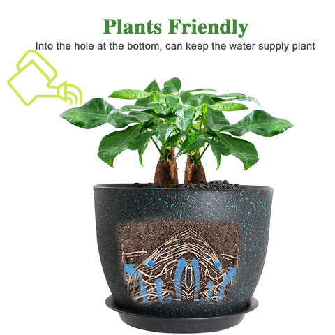 UOUZ 12-inch pot ideal for repotting large plants like fiddle-leaf fig.