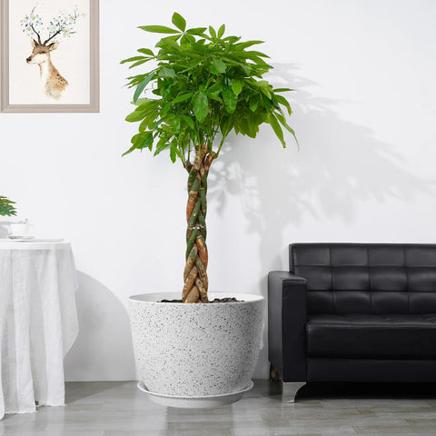UOUZ minimalist plastic plant pot complements contemporary home decor.