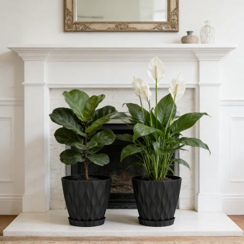 UOUZ 8-inch plant pot with drainage holes and tray for mess-free watering.