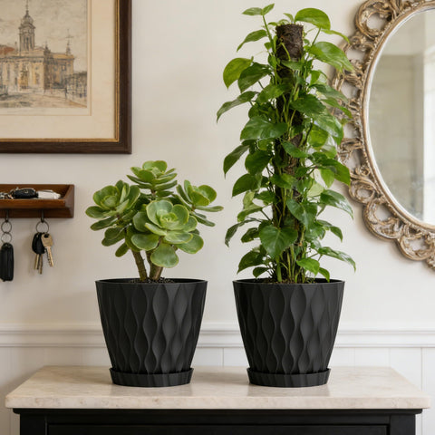 UOUZ 8-inch planter supports versatile indoor-outdoor greenery arrangements.