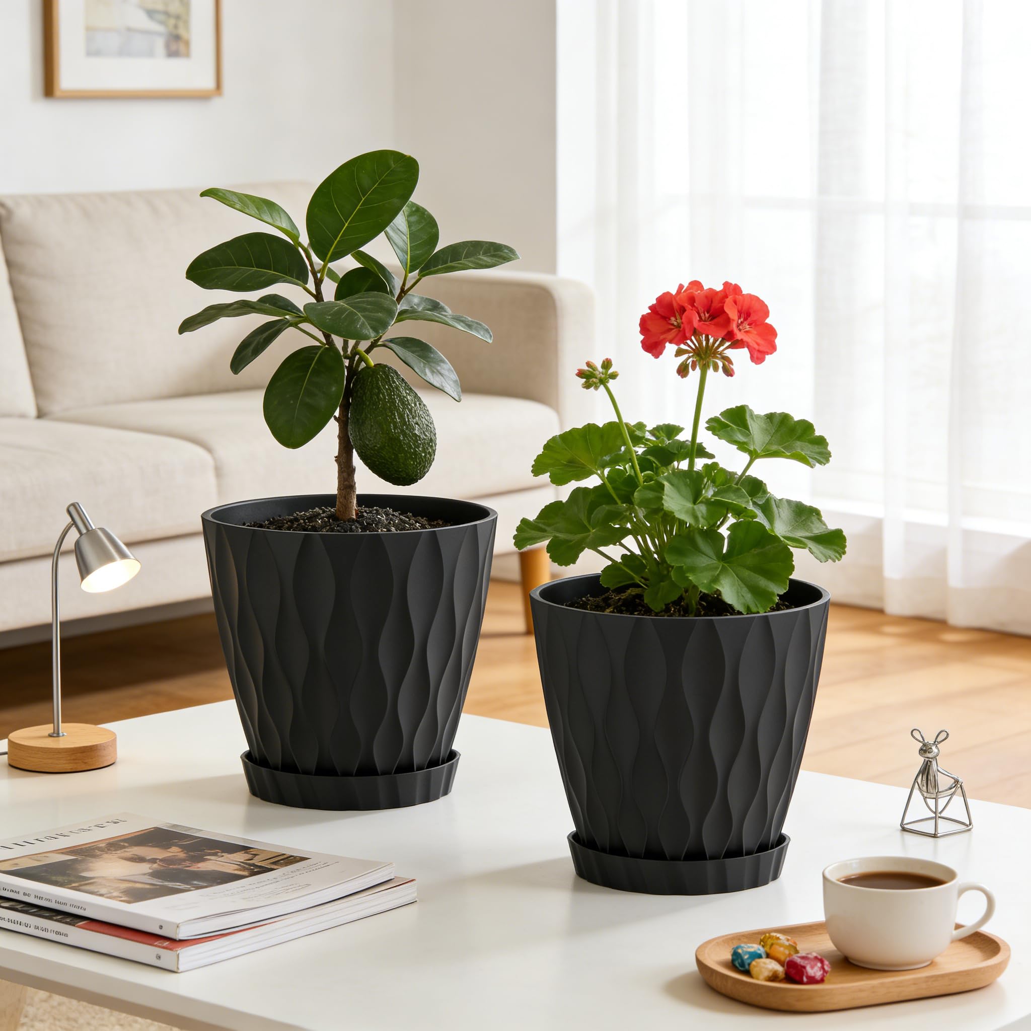 UOUZ 8-inch pot ideal for Monstera and Fiddle Leaf Fig.