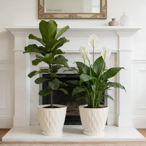UOUZ 8inch plant pot with tray and anti-slip base keeps surfaces clean