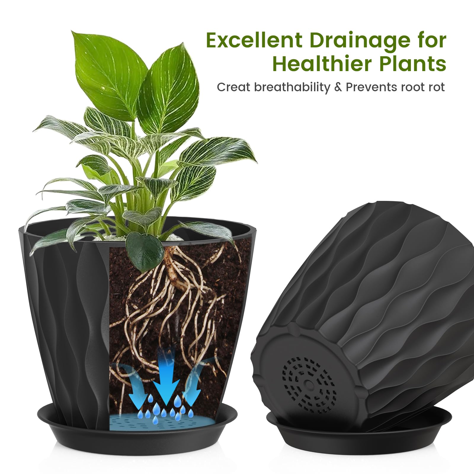 UOUZ 8-inch pot with drainage holes maintains even moisture and prevents overwatering