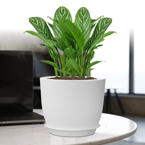 UOUZ easy-to-clean, lightweight planter suitable for balconies and windowsills.