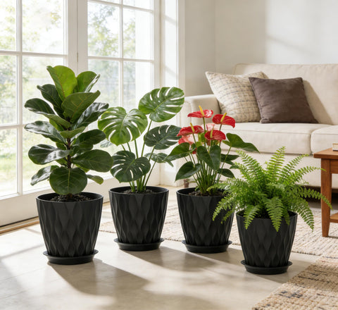 UOUZ Fiddle Leaf Fig 8-inch pot complements tall stems and decor